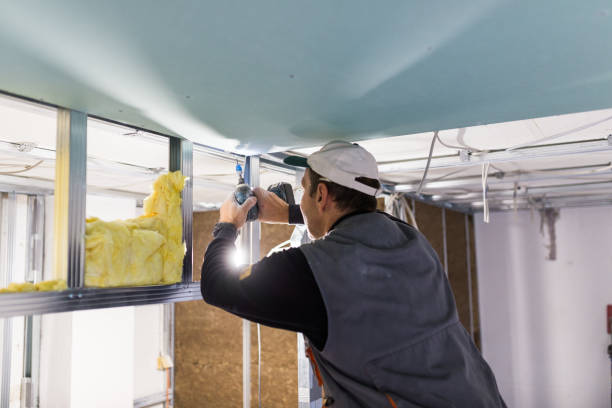 Best Commercial Insulation in Hillsboro, MO