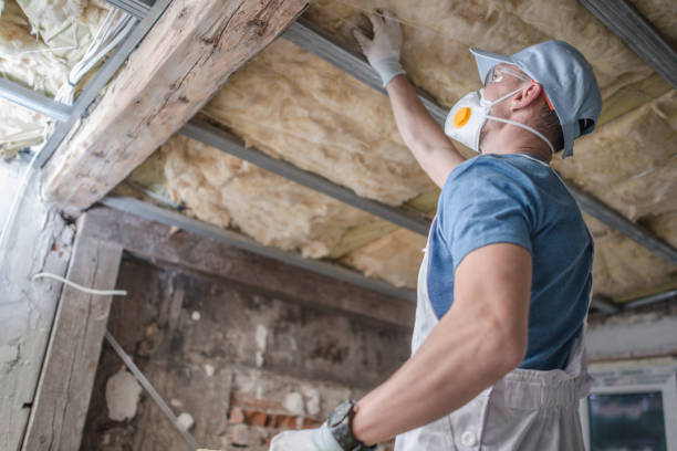Best Energy Efficiency Solutions in Hillsboro, MO